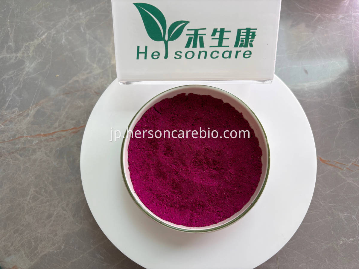 ピタヤフリーズドライパウダー2 Freeze Dried Pitaya Powder Close-up